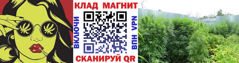 Купить закладку Тара Канабис Меф мяу мяу Кокаин АМФЕТАМИН Гашиш