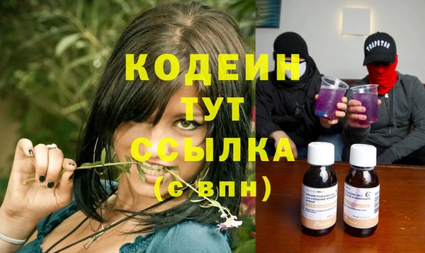 индика Белокуриха