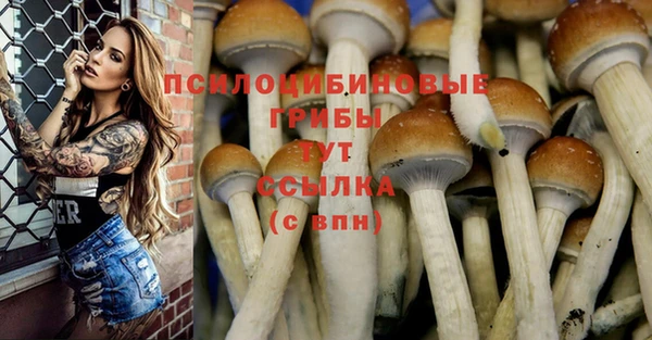 МДМА Беломорск