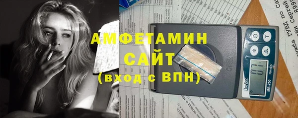 индика Белокуриха