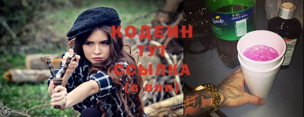 индика Белокуриха