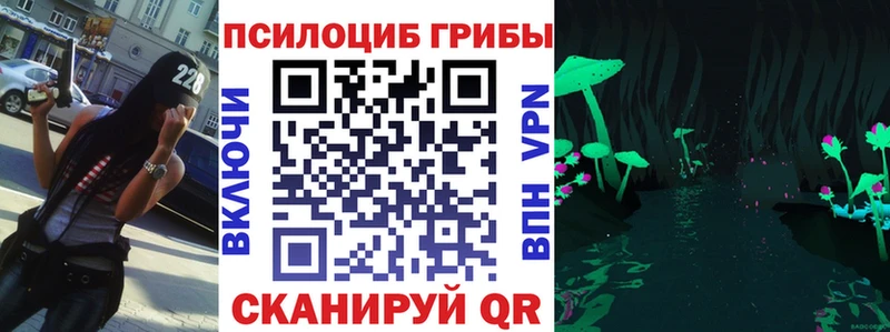 Псилоцибиновые грибы Psilocybine cubensis  мега ТОР  Тара 